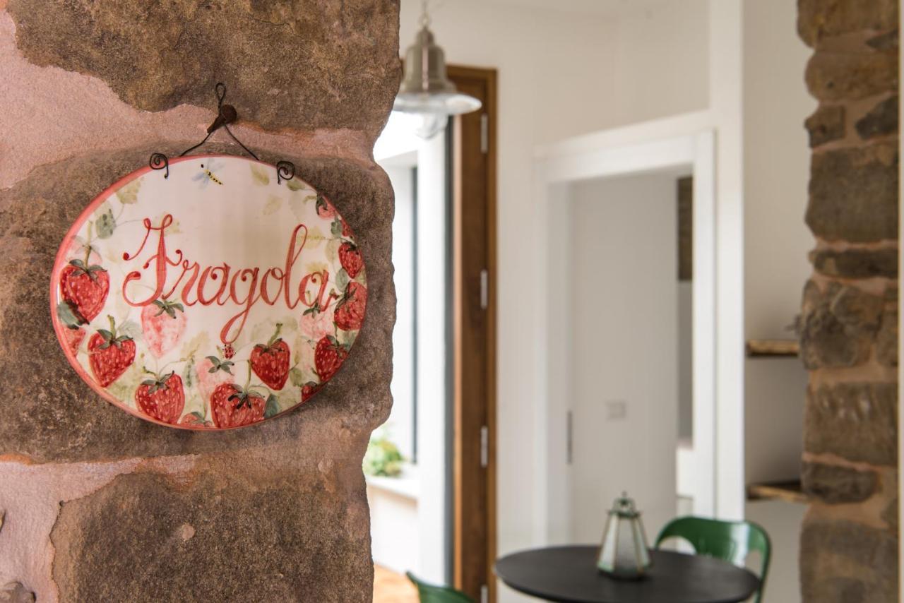 Tenuta Cà Di Bertucci Apartamento Solignano Exterior foto