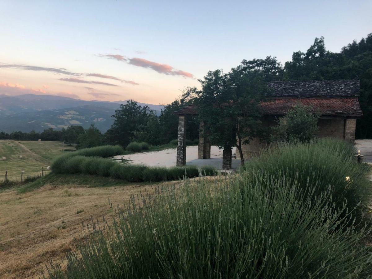 Tenuta Cà Di Bertucci Apartamento Solignano Exterior foto